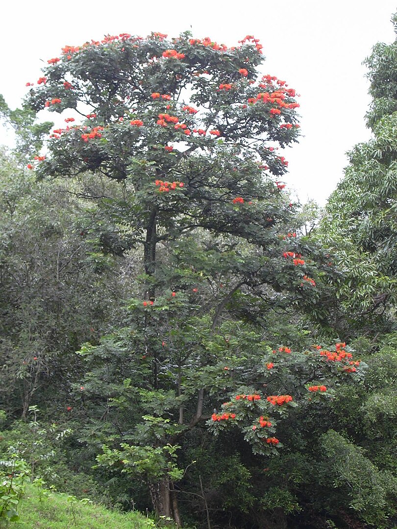 Berita terbaru Podomoro Park Bandung